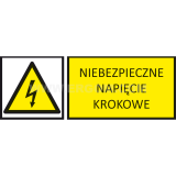 TZO - NIEBEZPIECZNE NAPIĘCIE KROKOWE